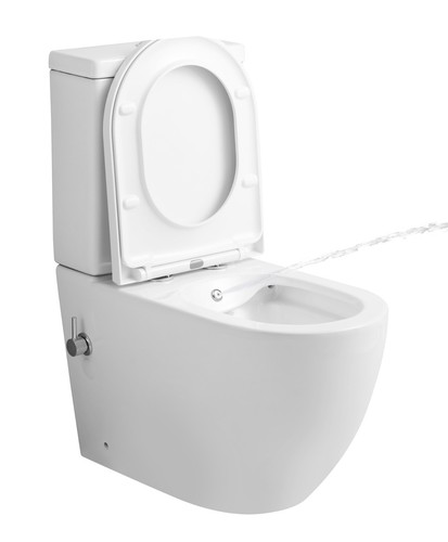 Bidet toilet back - bidet,