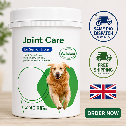 Dog joint supplement tablets - joint,