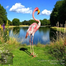 Tropical Pink Flamingo Bird