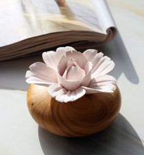 Diffuser NonElectric Ceramic