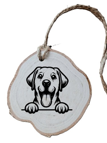 Labrador dog sign birch - labrador,