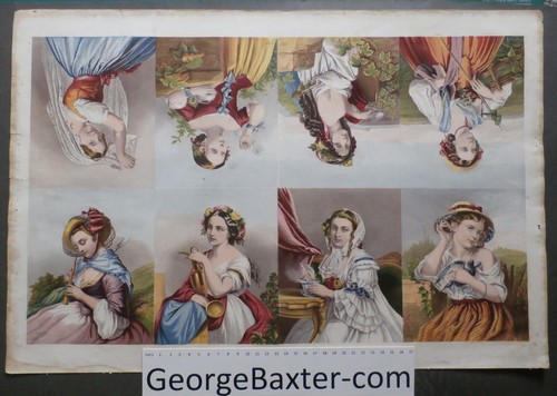 Large uncut sheet kronheim - uncut,