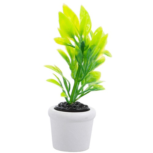 Miniature house potted plants - potted,