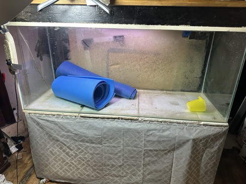 Large fish tank - large,