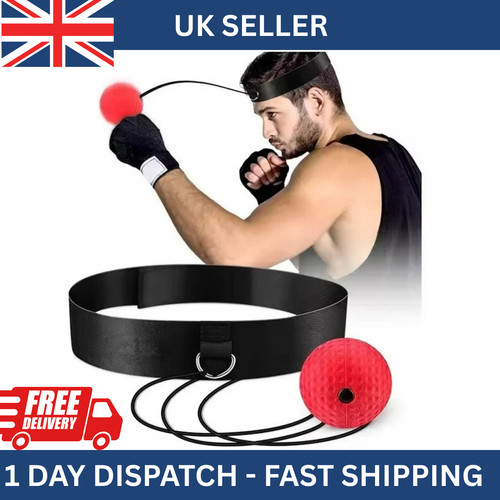 Boxing fight ball punch - fight,