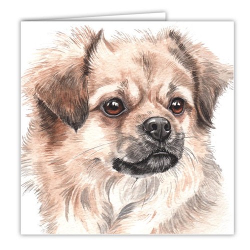 Tibetan spaniel dog card 6x6 - tibetan,