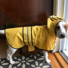 Dog Rain Jacket With Strip