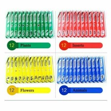 Animal Insect Plant Flower