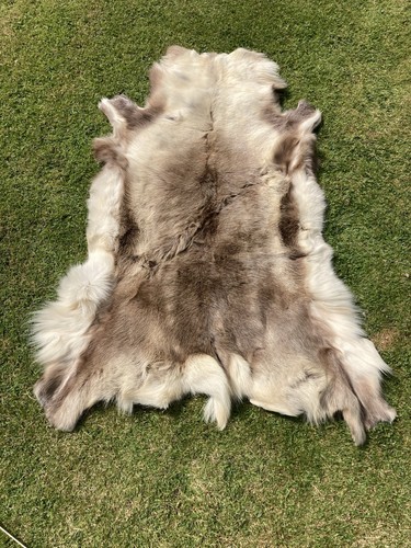 Reindeer hide rug throw - reindeer,