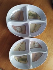 Plastic Serving Dishes Royle Melamine Perfect for Picnics Camping Cold Food