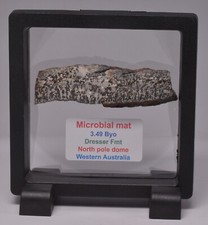 MICROBIAL MAT, Dresser Fmt