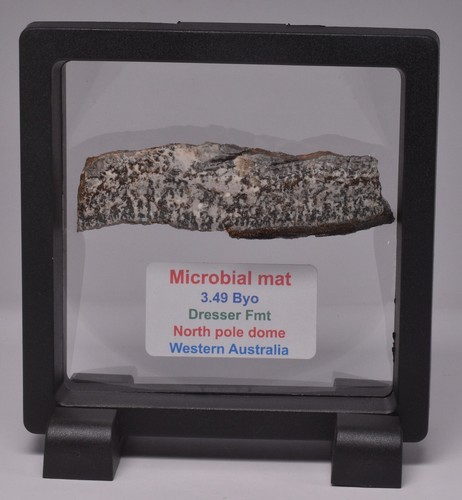 Microbial mat dresser fmt - dresser,