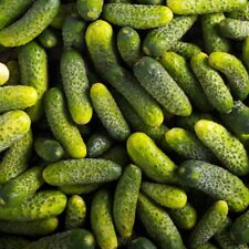 3x Cucumber Gherkin –