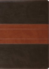 ESV Study Bible, Large Print -