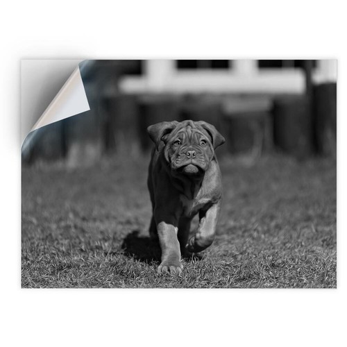 Vinyl sticker bw - vinyl,