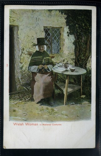 Welsh women national - welsh,