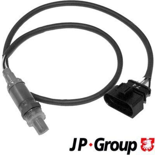 Oxygen sensor - sensor, for