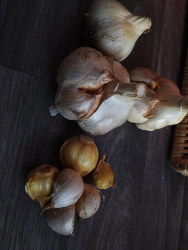 Proper elephant garlic cloves - elephant,