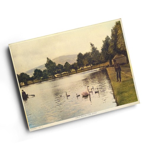 Print vintage scotland - -,