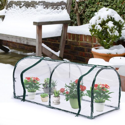 Plant greenhouse pvc - plant,