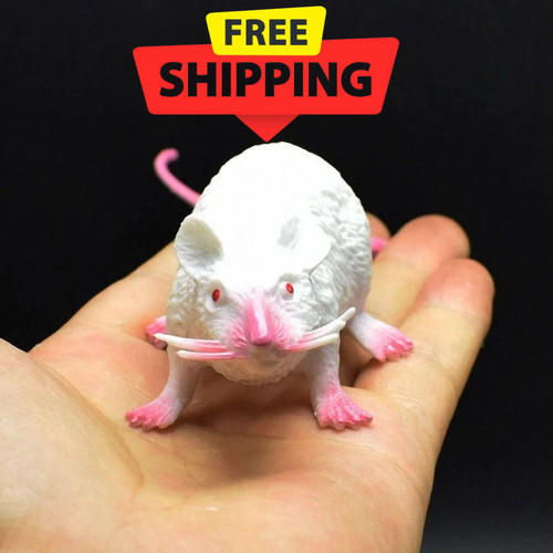 Fake rat mouse prank - fake,
