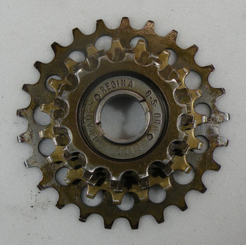 Classic regina oro speed - regina,