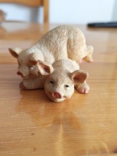 Two Pigs Laying On Eachother