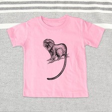 Lion Tamarinaco zoo animal -