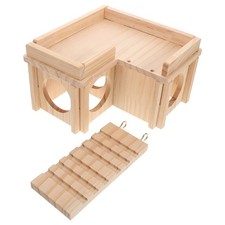 Bearded Dragon Basking