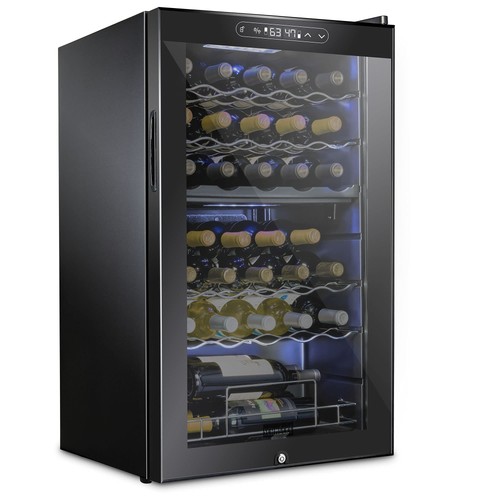 Wine cooler bottle dual - cooler,