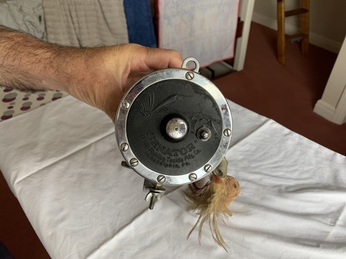 Penn senator fishing reel - 6/0,
