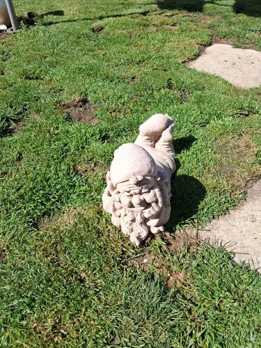Garden gnome ornament - garden,