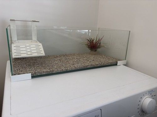 Ciano tartariums turtle - ciano,