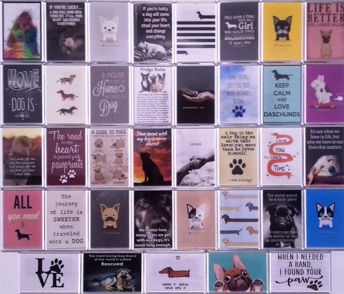 Extra large fridge magnet - extra,