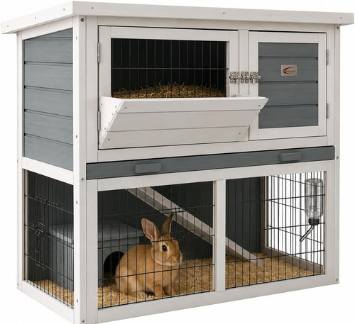 Bunny business tier double - bunny,