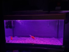 4ft Fish Tank (Without Stand)