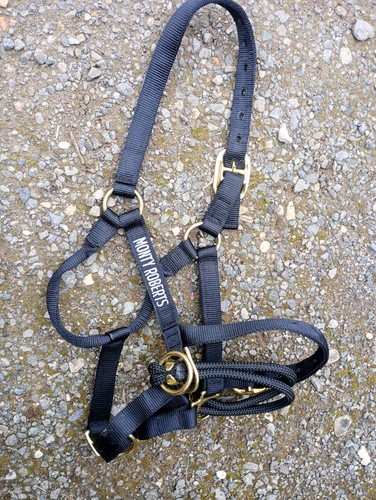 Monty roberts dually - dually, halter