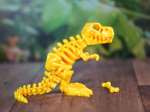Printed dinosaur fidget toy - fidget,