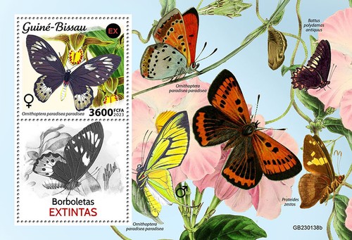 Extinct butterflies - extinct,
