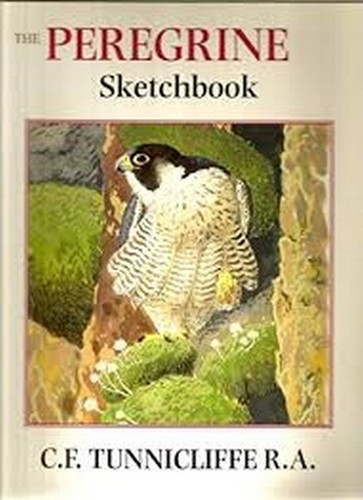 Peregrine sketchbook f - sketchbook., c.