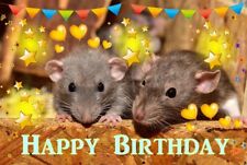Happy Birthday Baby Rats Card