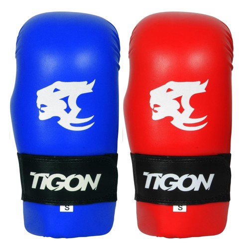 Tigon semi contact sparring - tigon,