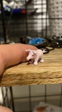 Tiny Glass Pig