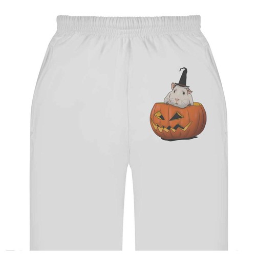 Halloween guinea pig - 'halloween,