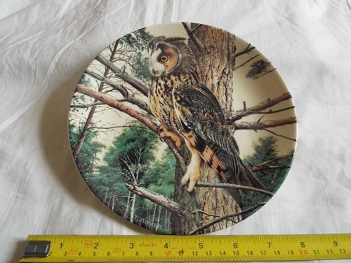 Danbury mint long - danbury, long-eared-owl
