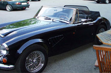 Austin-Healey 3000 (1959-1967)