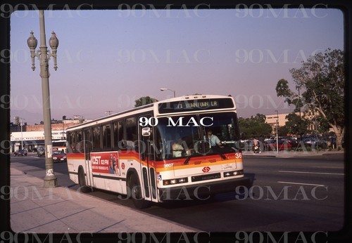 Scrtd neoplan bus - bus, los