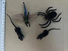 Plastic Small Toy Spider, Dragon Fly And 2 Rats
