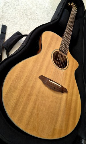 2007 breedlove atlas - breedlove,