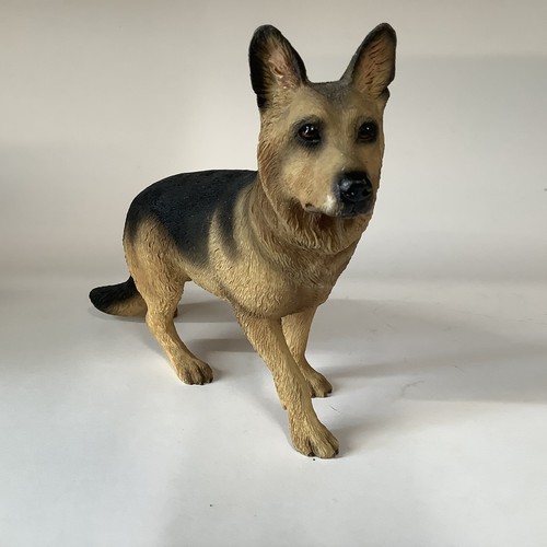 Alsatian german shepherd - alsatian, dog